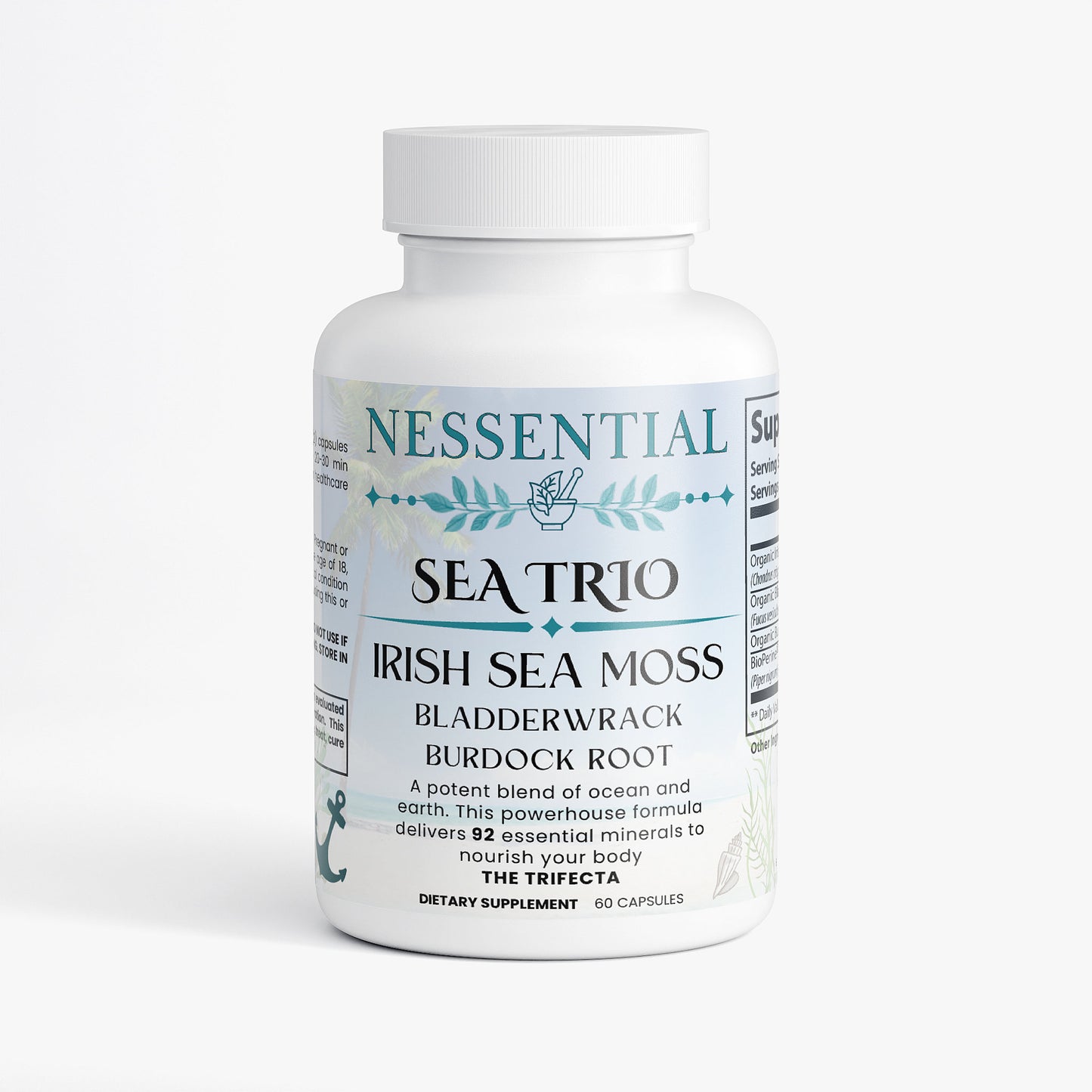 Sea Trio-Sea Moss